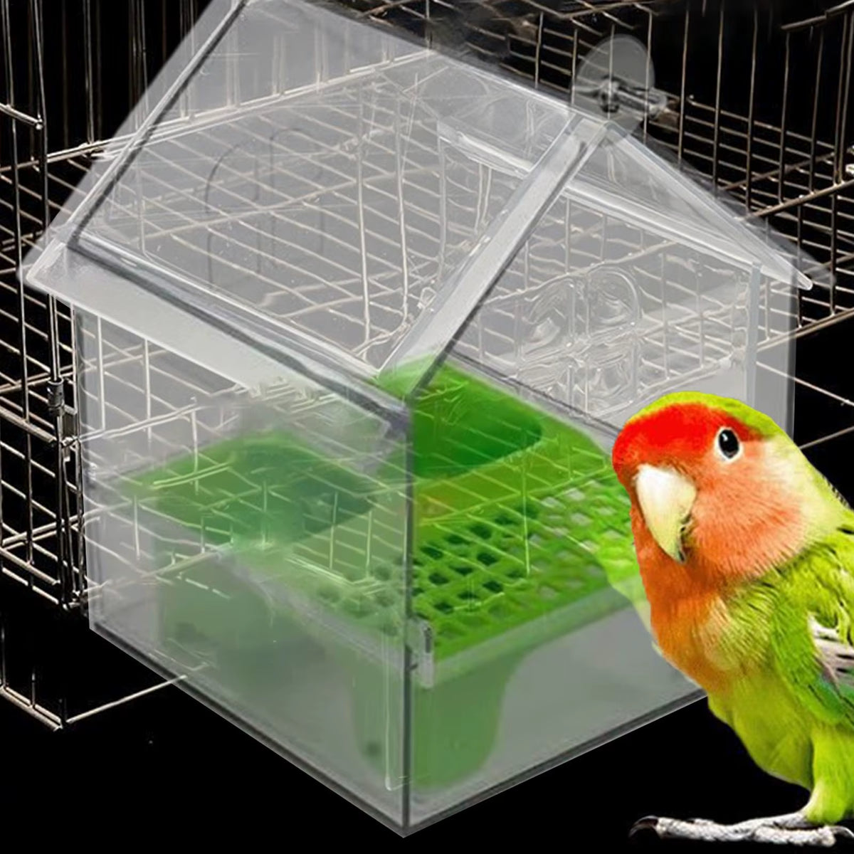 Hanging Bird Feeder Bowl – No-Mess Cage Feeder & Bird Bath – image 2