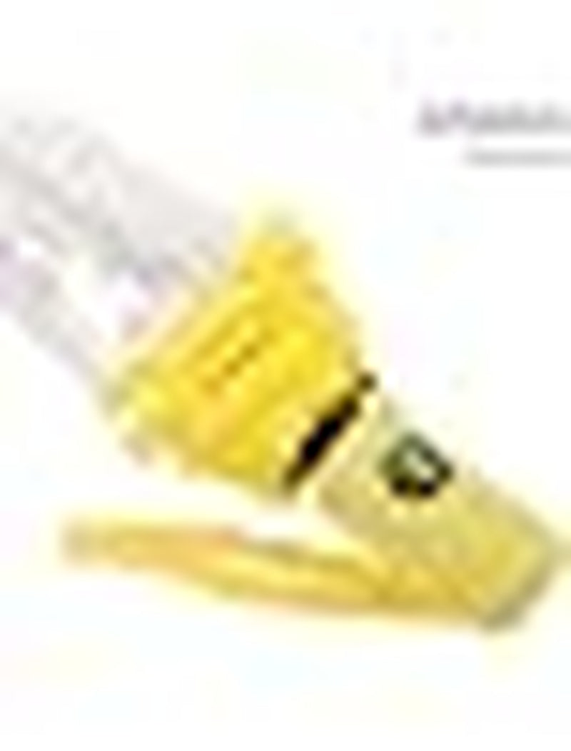 Clear Umbrella, Auto Open Folding Windproof Travel Umbrella – image 4