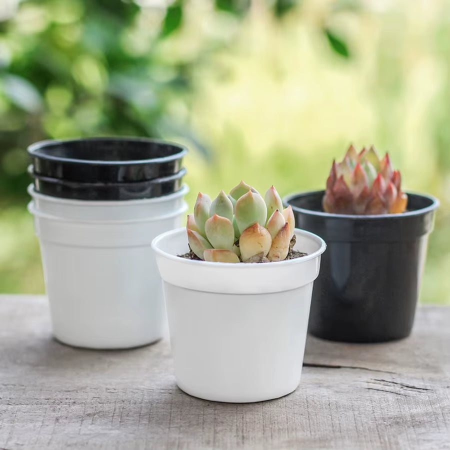Succulent Plant Pots Mini, 10 Pack – image 3
