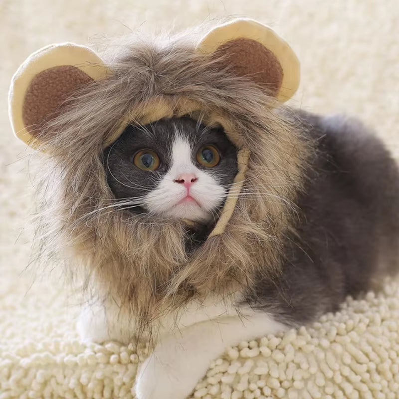 Lion Mane Cat Wig Hat - Funny Halloween Pet Costume