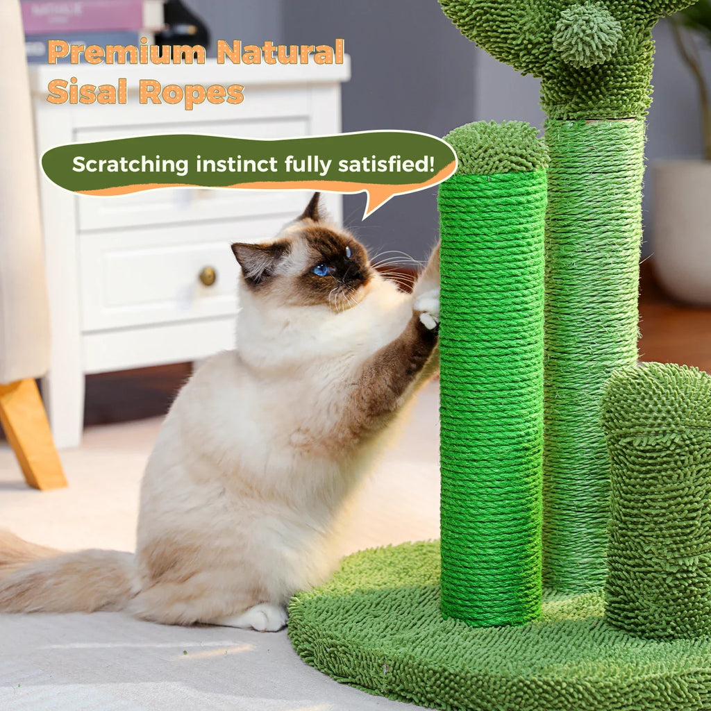 Cactus Cat Scratching Post – 3 Poles with Dangling Ball – image 14