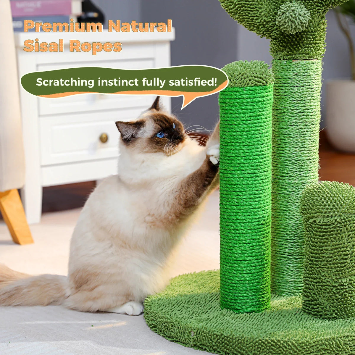 Cactus Cat Scratching Post – 3 Poles with Dangling Ball – image 14