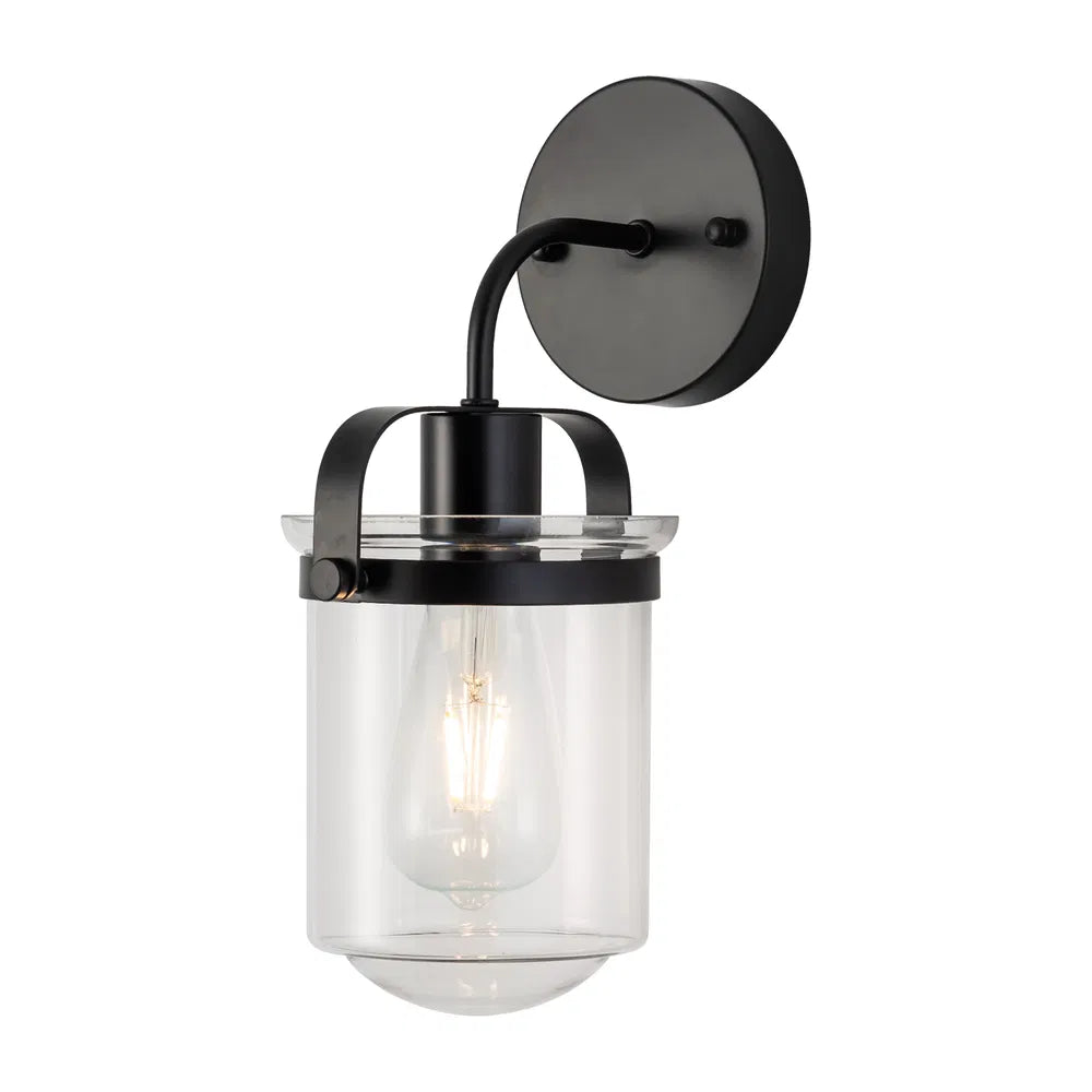 Modern 1-Light Wall Sconce with Clear Glass Globe Shade
