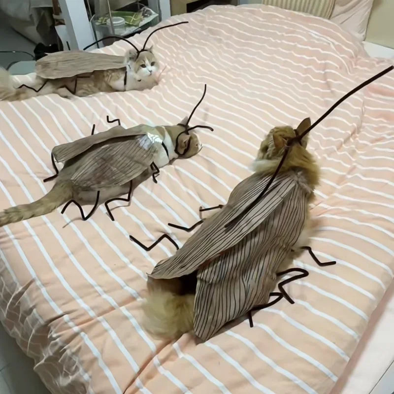 Cockroach Cat Costume with Wings - Funny Halloween Pet Outfit