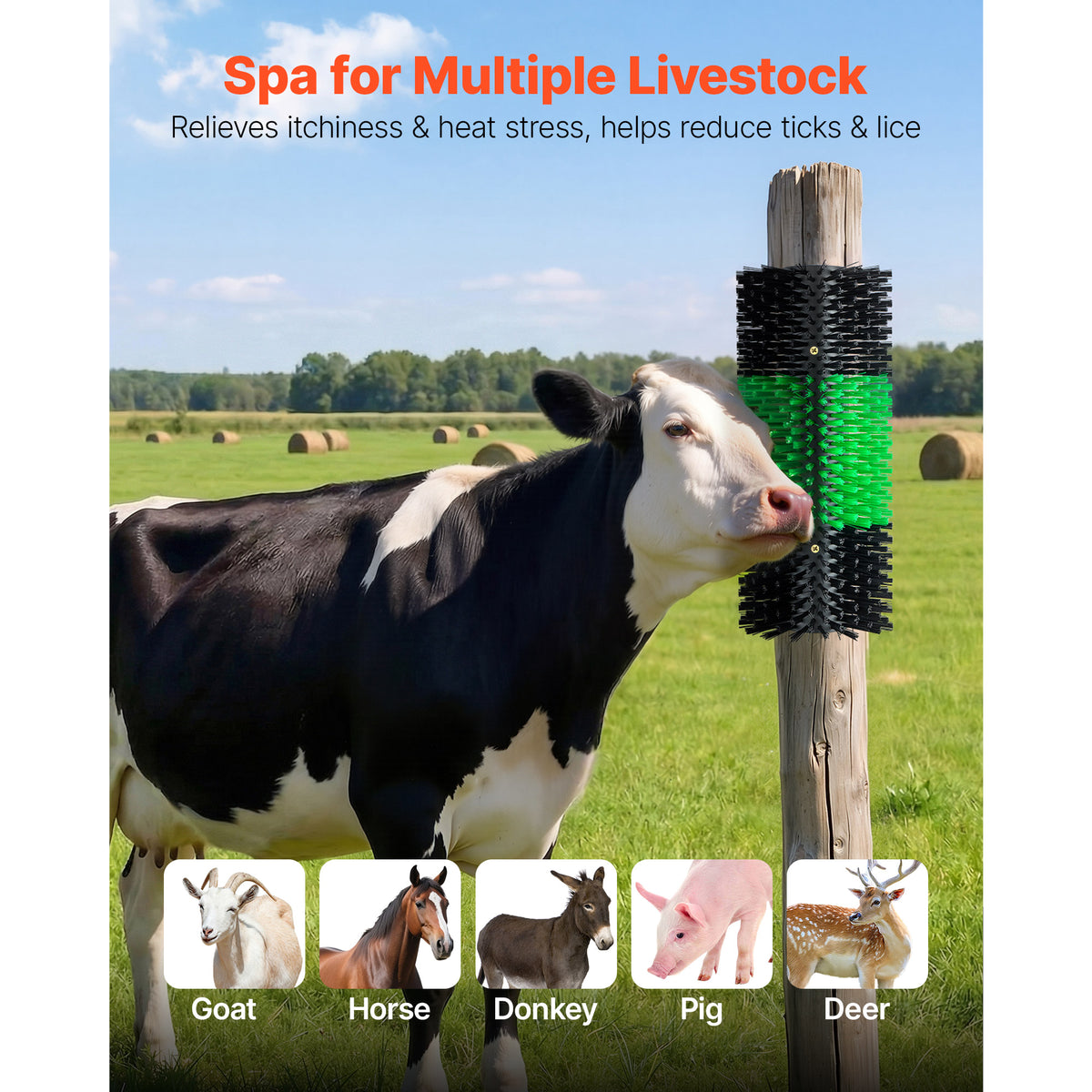 Livestock Scratching Brush for Goats, Cattle and Horses