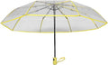 Clear Umbrella, Auto Open Folding Windproof Travel Umbrella