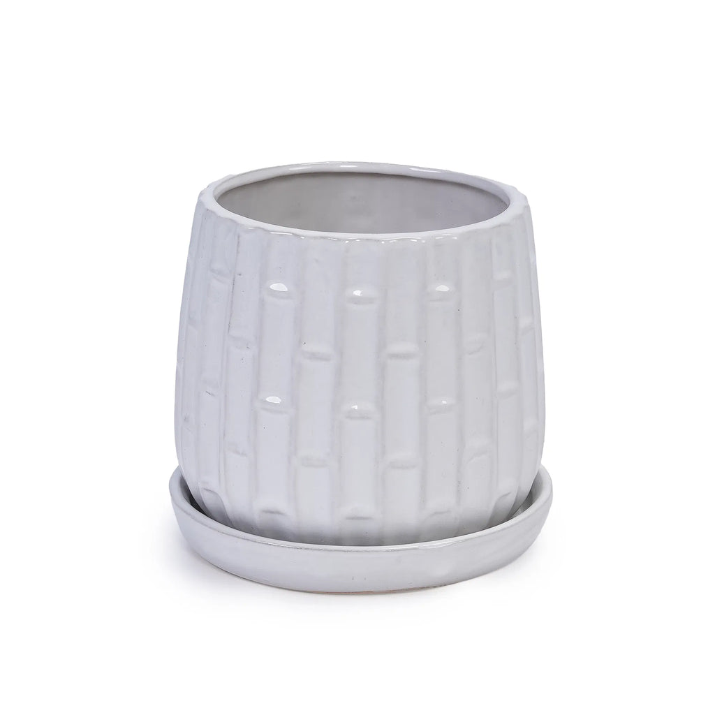 Ceramic Planter Set of 2, White Glazed 6 and 8 in Orchid Pots – image 12