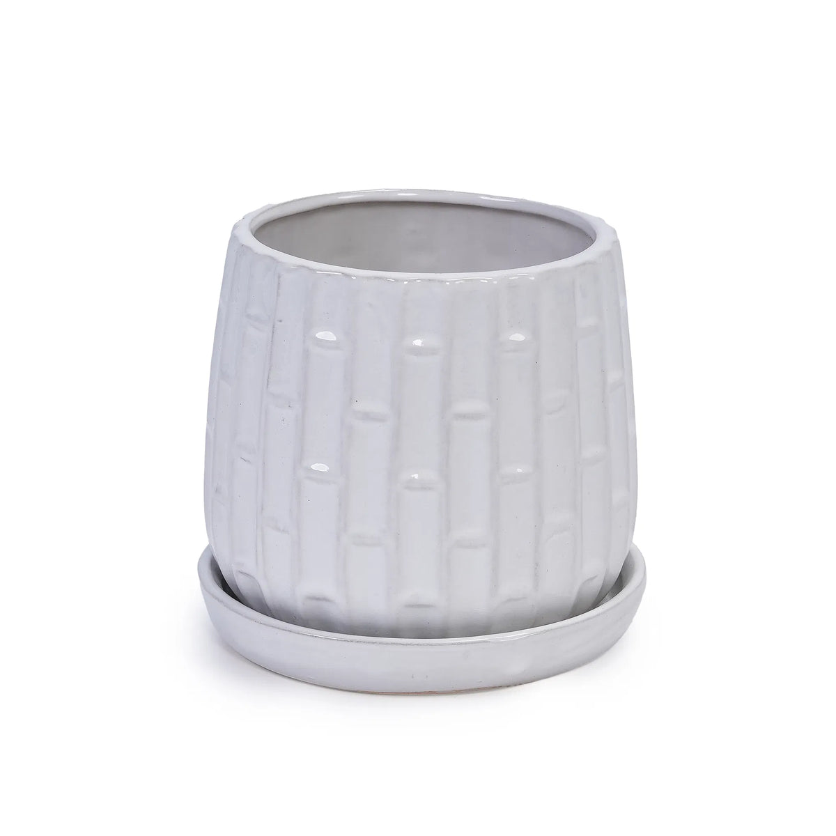 Ceramic Planter Set of 2, White Glazed 6 and 8 in Orchid Pots – image 12