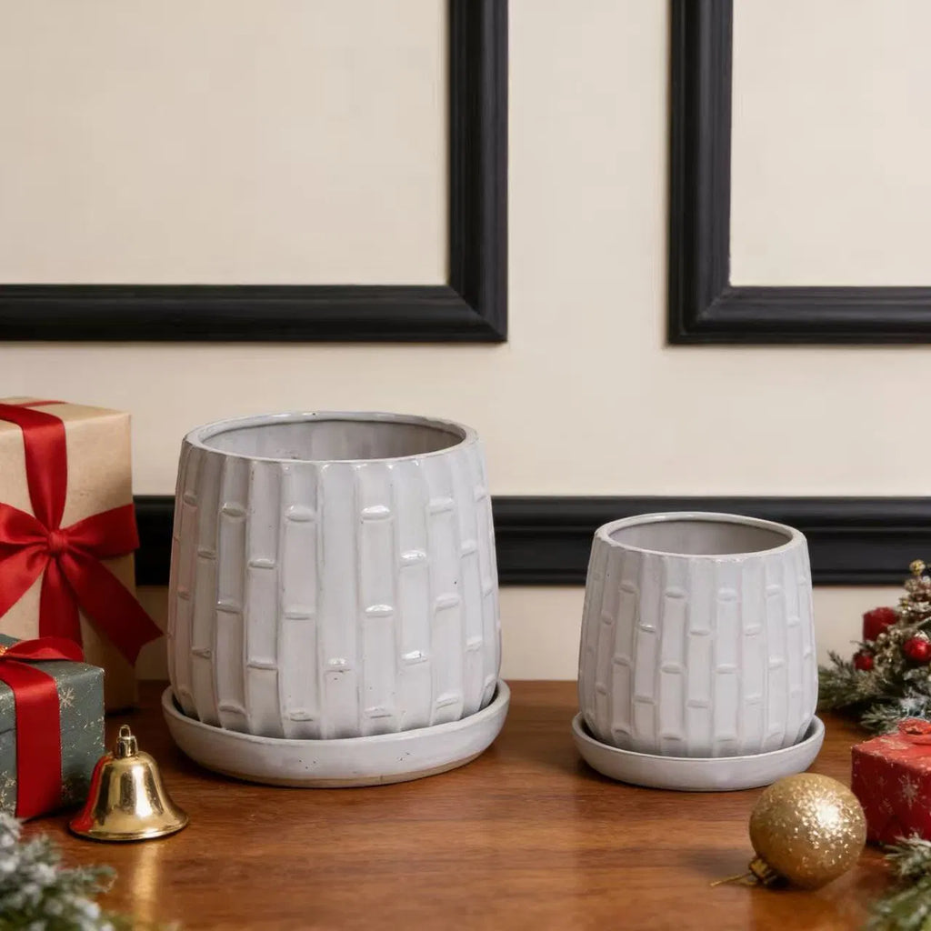 Ceramic Planter Set of 2, White Glazed 6 and 8 in Orchid Pots – image 6