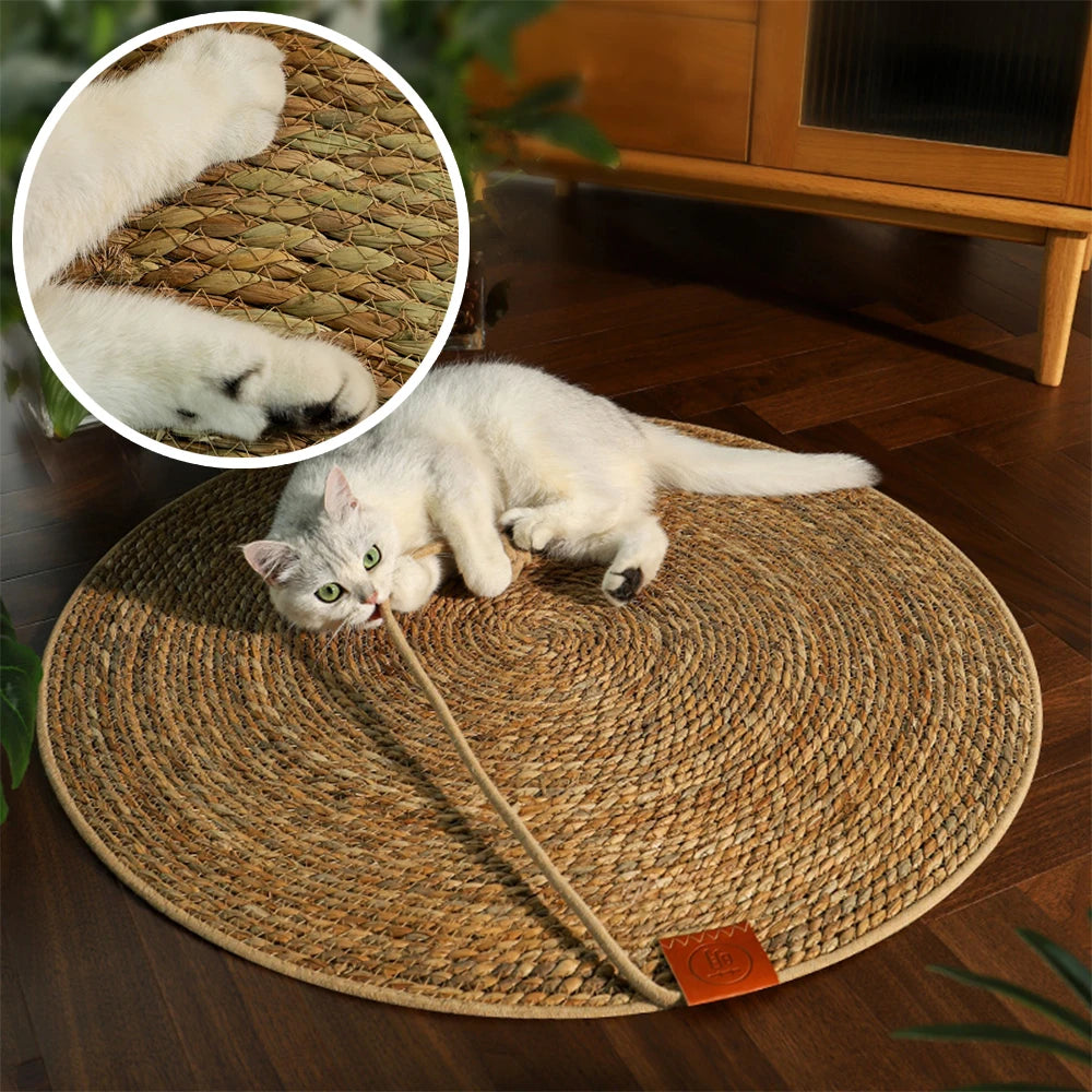 Couch Corner Cat Scratcher Furniture Protector