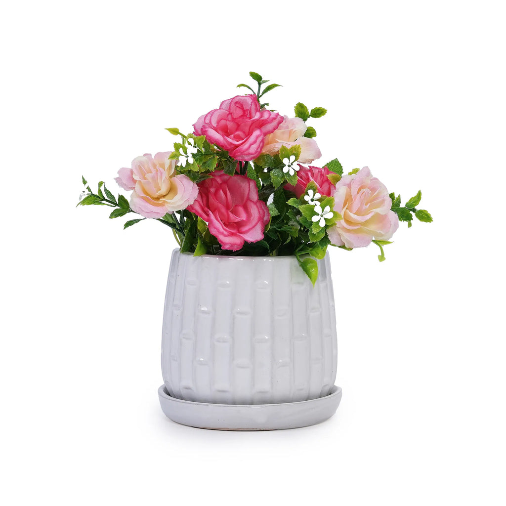 Ceramic Planter Set of 2, White Glazed 6 and 8 in Orchid Pots – image 16