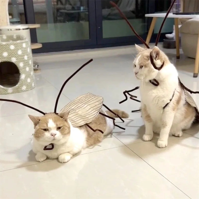 Cockroach Cat Costume with Wings - Funny Halloween Pet Outfit