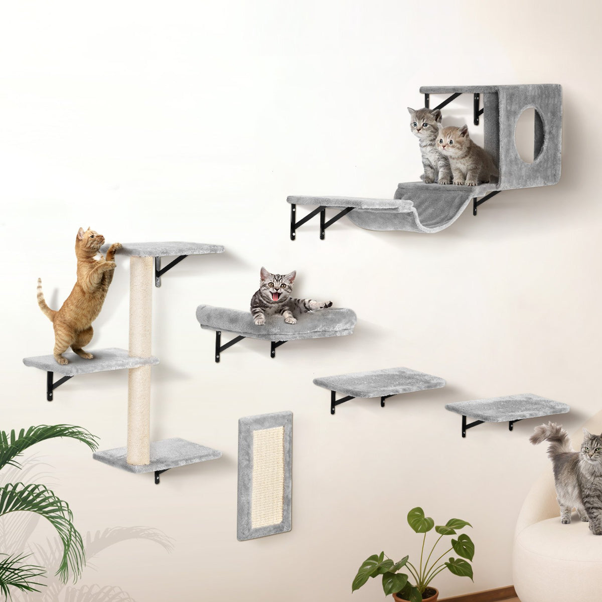 Wall Mounted Cat Shelf Set of 6 with Hammock and Sofa