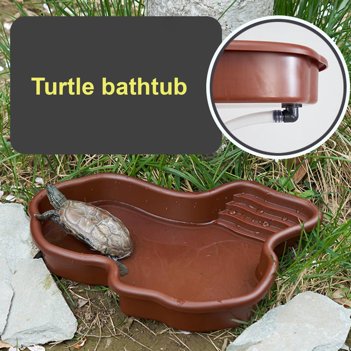 Reptile Bathing Pool with Ramp, Large Turtle and Tortoise Water Dish – image 5