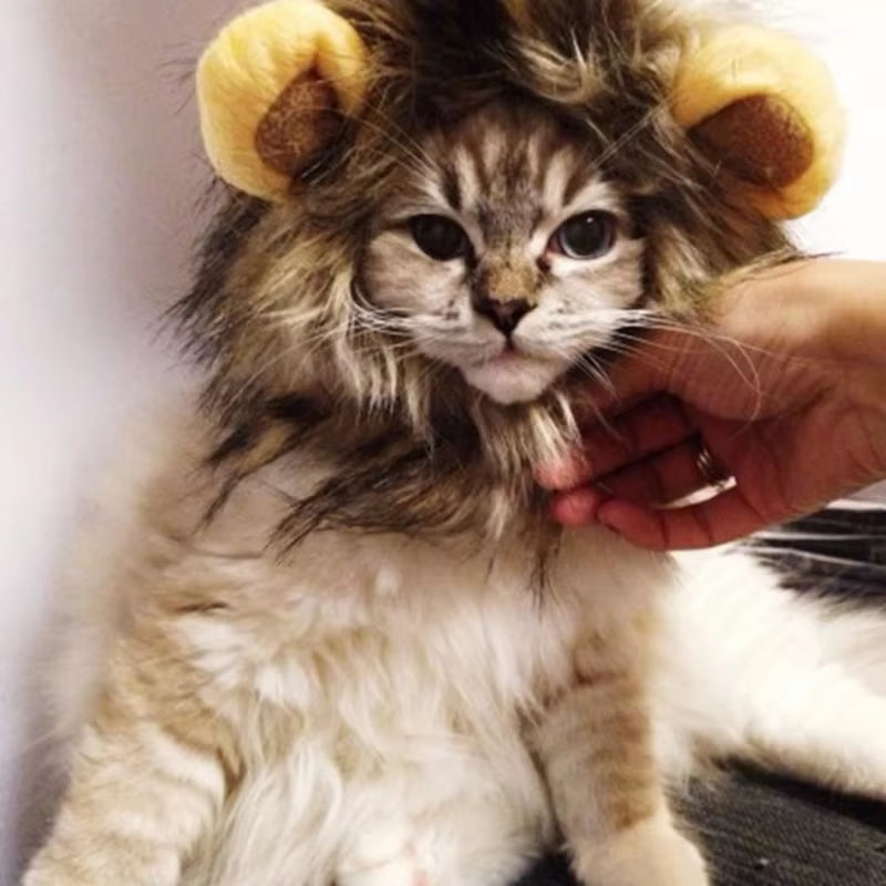 Lion Mane Cat Wig Hat - Funny Halloween Pet Costume