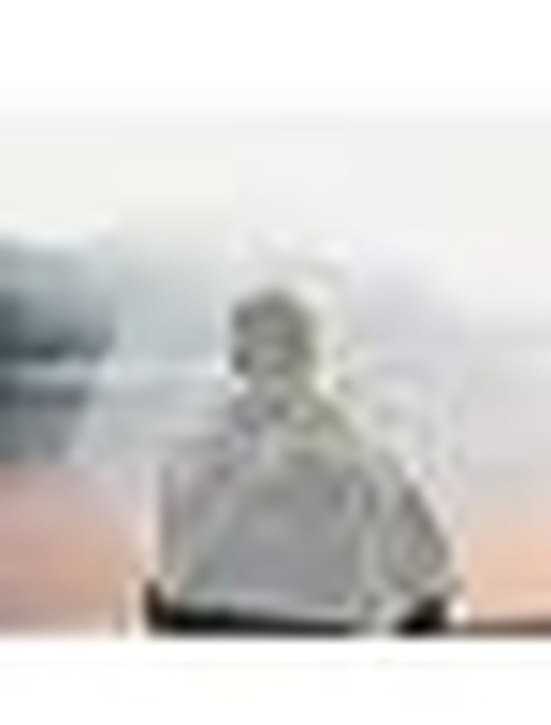 Clear Umbrella, Auto Open Folding Windproof Travel Umbrella – image 7