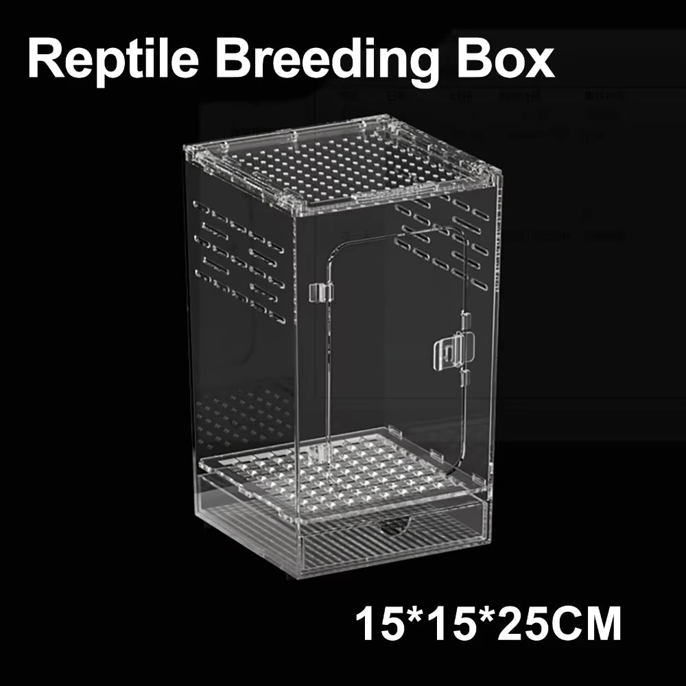 Clear Acrylic Arboreal Terrarium Box for Jumping Spiders and Geckos