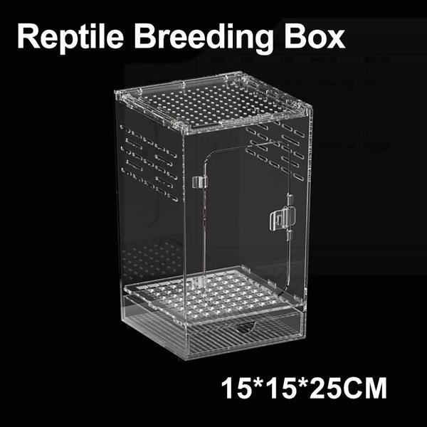 Clear Acrylic Arboreal Terrarium Box for Jumping Spiders and Geckos
