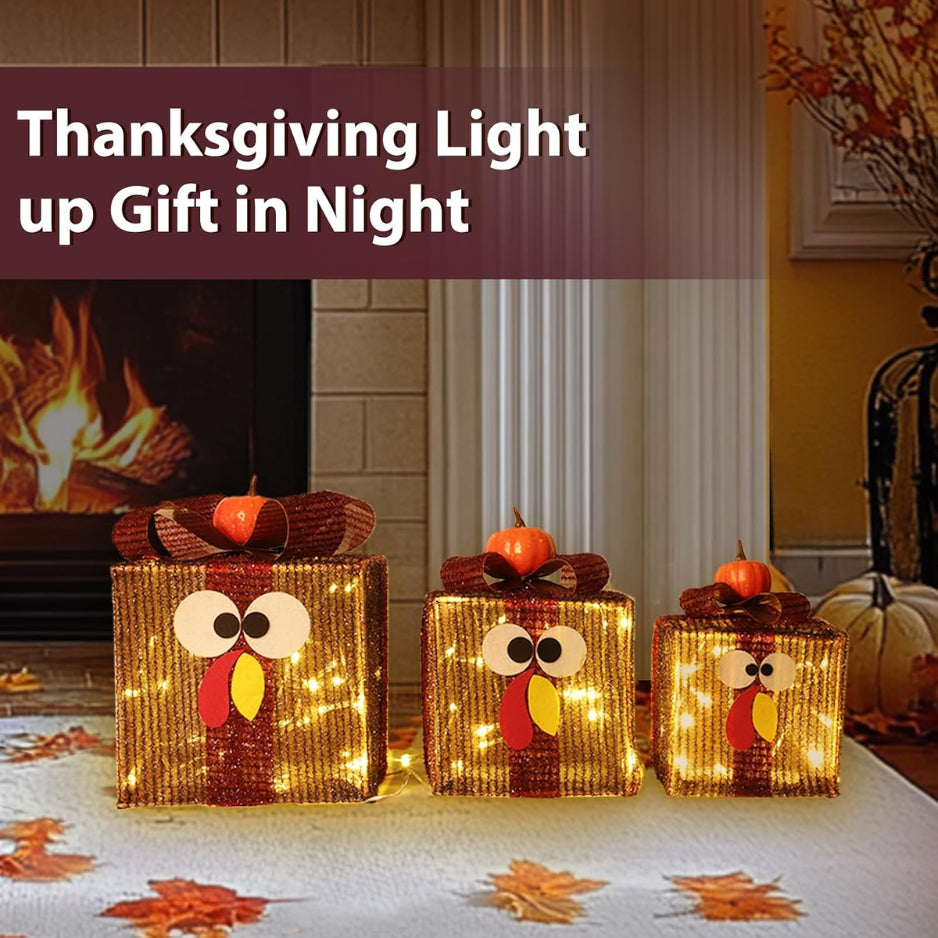 Lighted Thanksgiving Turkey Gift Boxes, Set of 3 with Timer – image 5