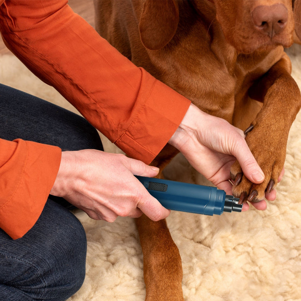 Dog Nail Grinder, 2-Speed Quiet USB Rechargeable Pet Nail Trimmer – image 10