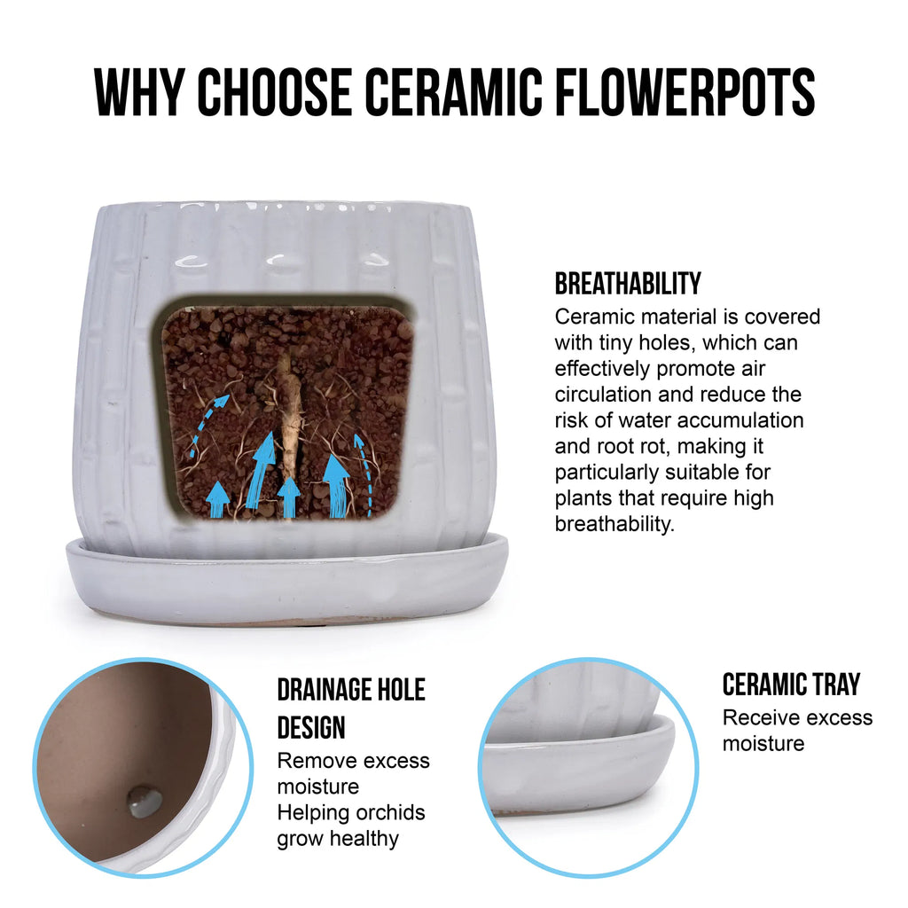 Ceramic Planter Set of 2, White Glazed 6 and 8 in Orchid Pots – image 8