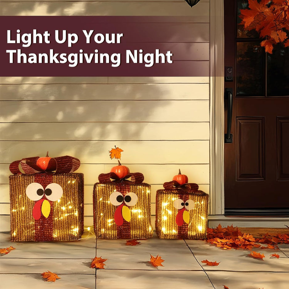 Lighted Thanksgiving Turkey Gift Boxes, Set of 3 with Timer – image 2