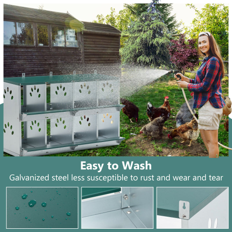 8 Compartment Galvanized Chicken Nesting Box with Egg Roll Out – image 5