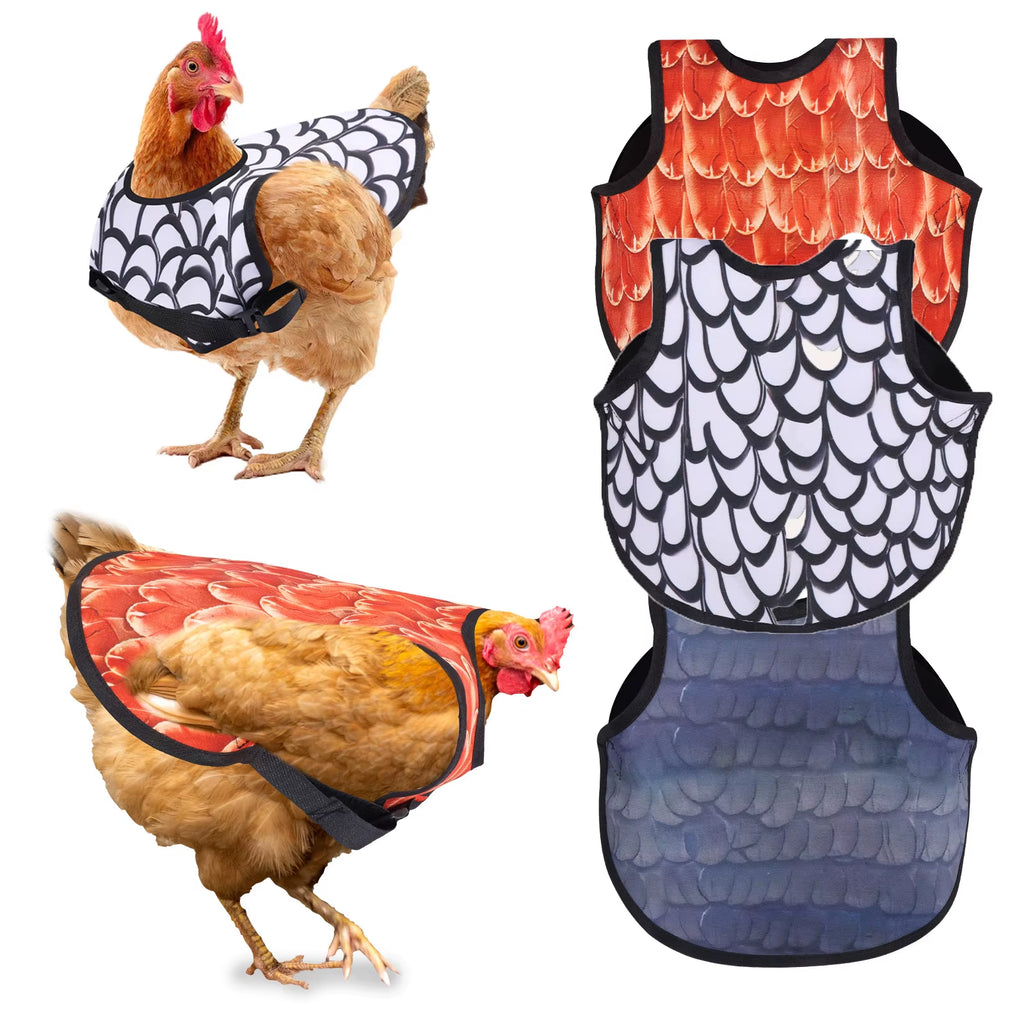 Chicken Saddle Feather Protector 3-Pack with Adjustable Straps – image 2