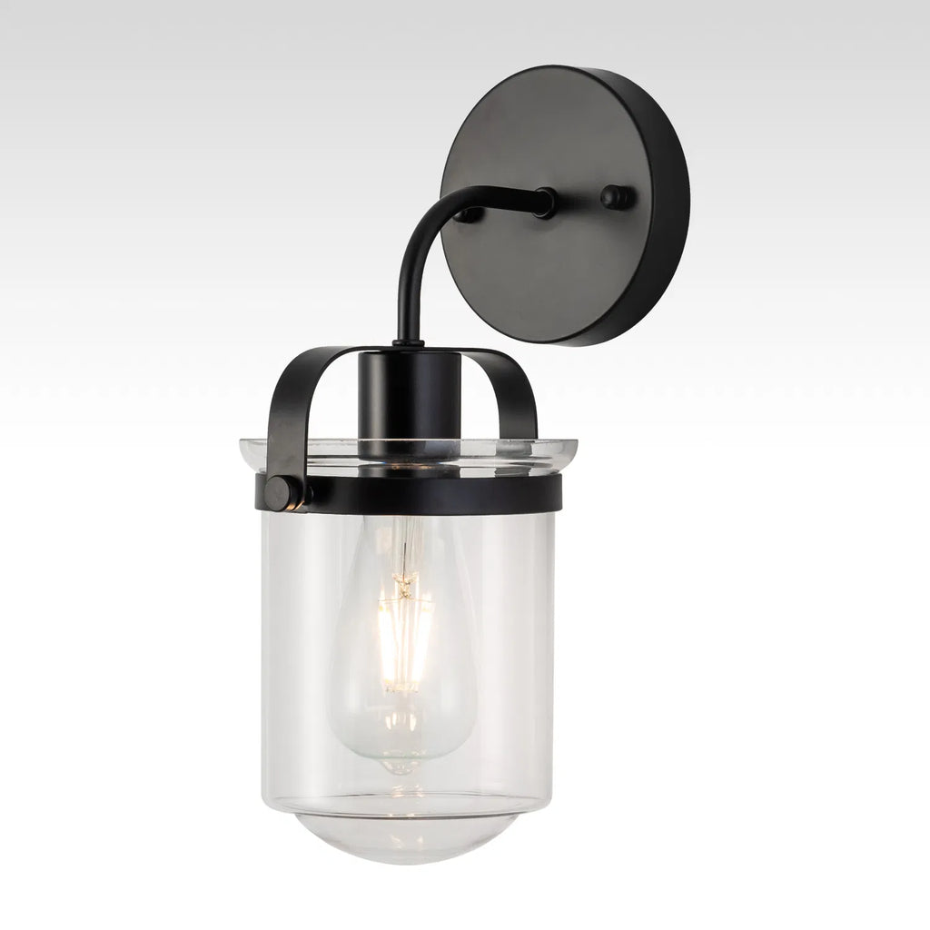 Modern 1-Light Wall Sconce with Clear Glass Globe Shade