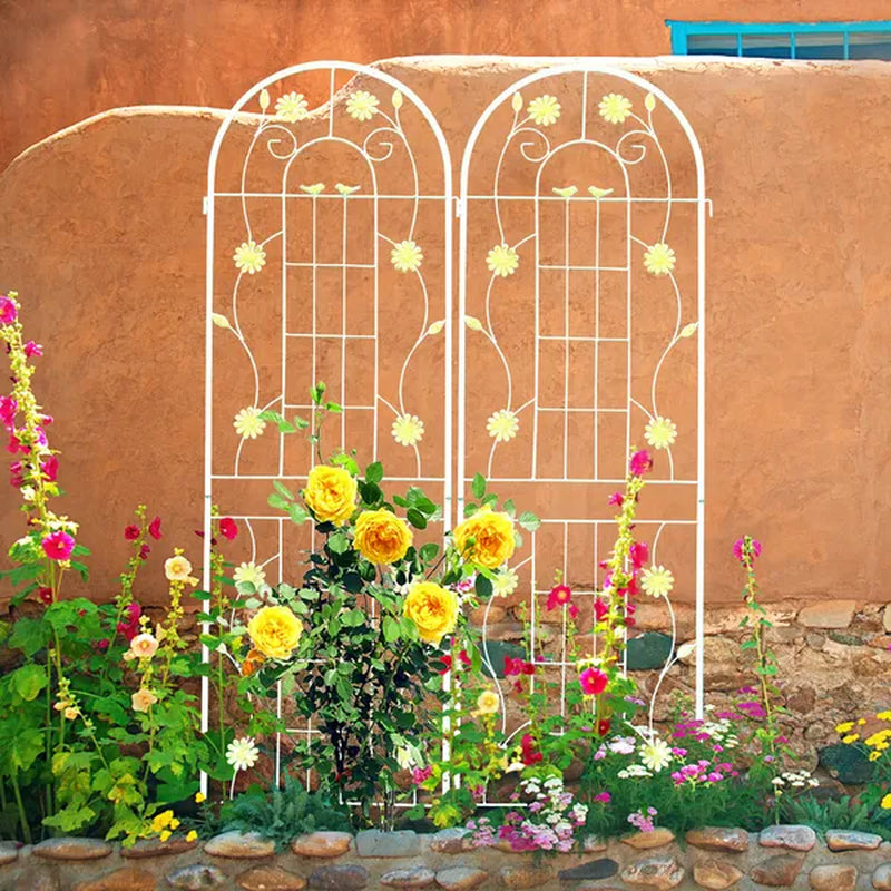 Metal Garden Trellis 2 Pack, 71 x 19.7 in Climbing Plant Support – image 3