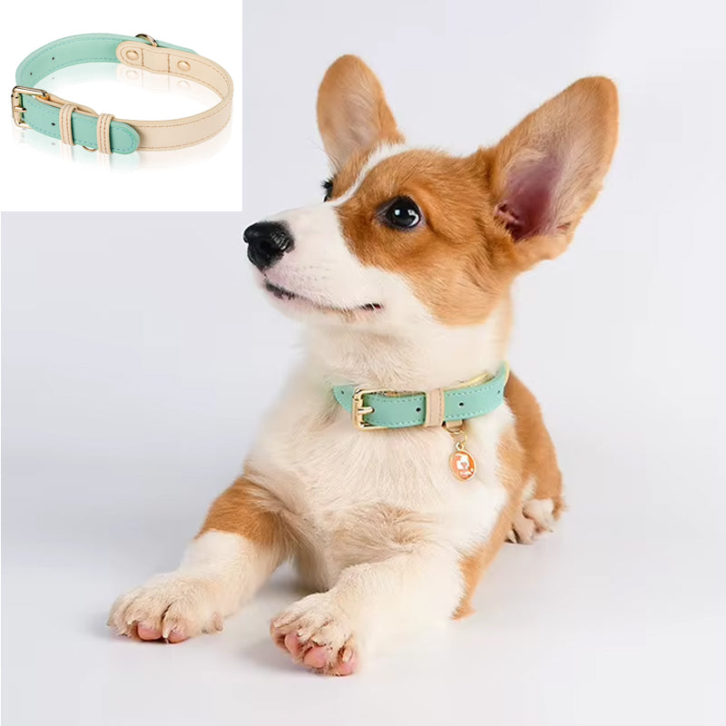Leather Dog Collar – Adjustable S, M, L – image 2