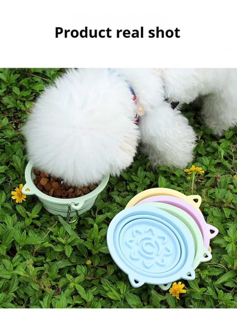 Collapsible Dog Travel Bowl Silicone Slow Feeder with Suction Cups – image 6