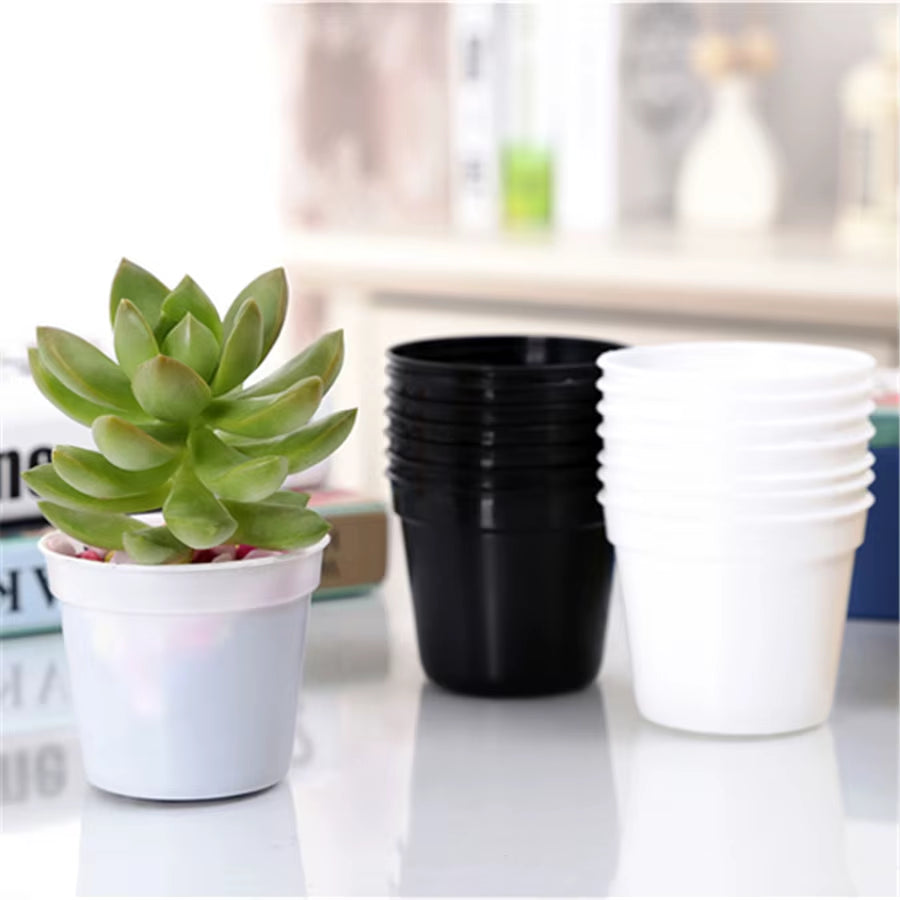 Succulent Plant Pots Mini, 10 Pack – image 4