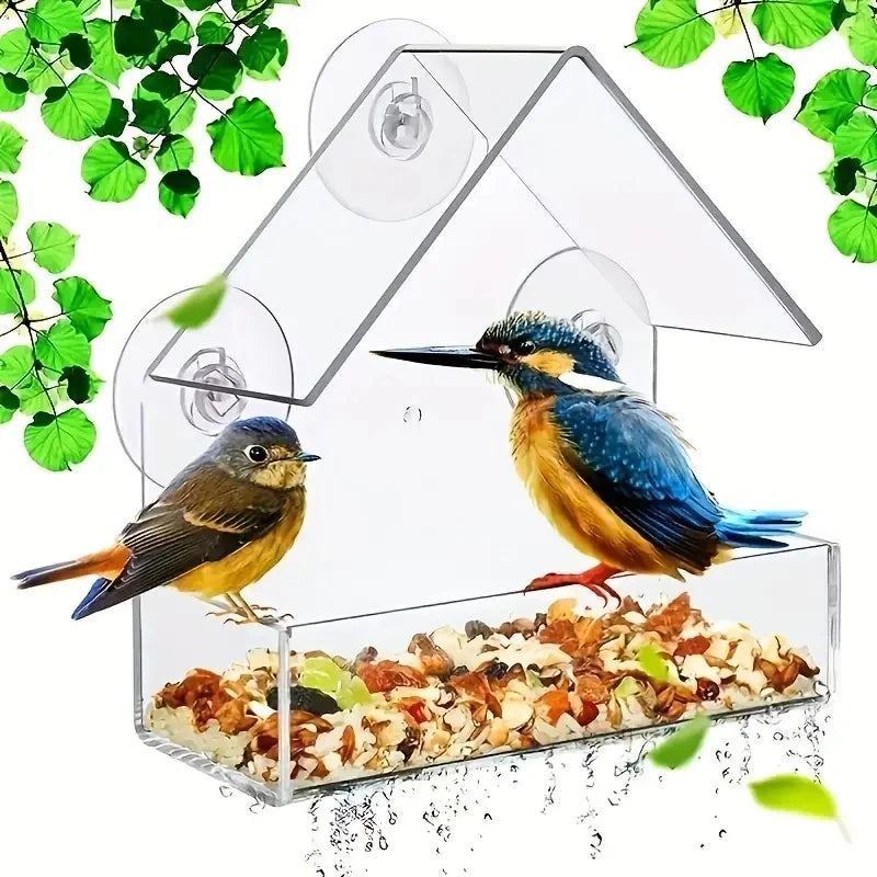 Window Bird Feeder - Clear Acrylic with Strong Suction Cups – image 3
