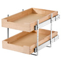 Pull Out Cabinet Organizer, 2-Tier Soft-Close Wood Drawers, 14 x 21 in