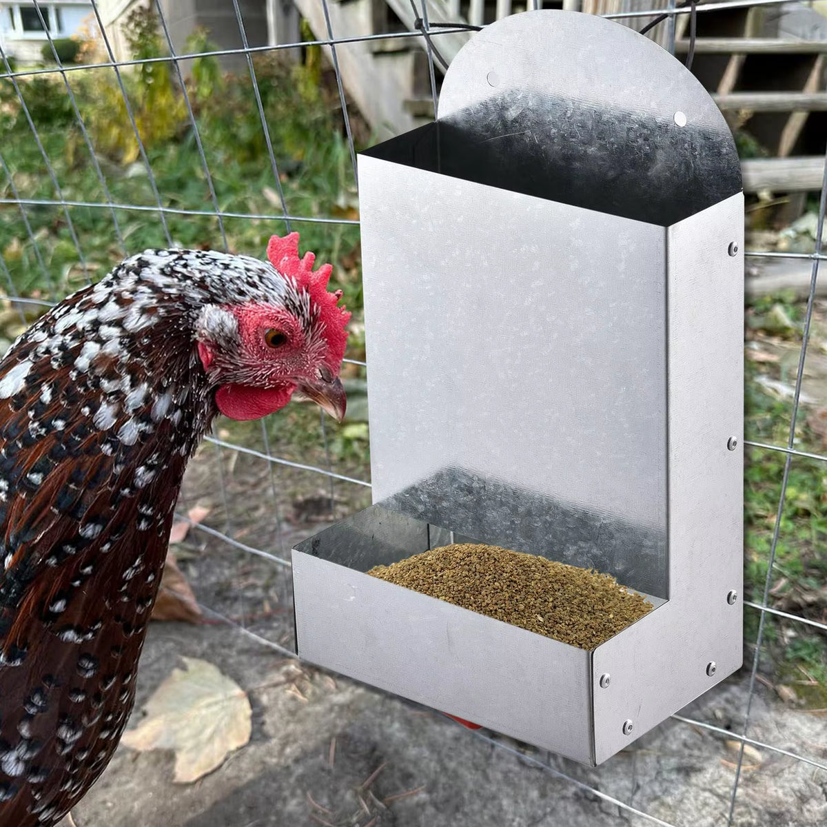 Galvanized Steel Chicken Grit and Oyster Shell Feeder Wall Mount – image 5