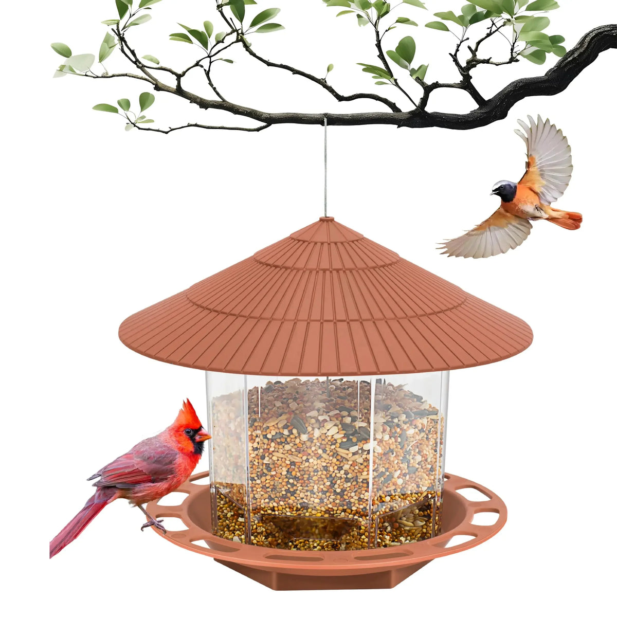 Hanging Bird Feeder - Gazebo Style Multi-Port Seed Feeder – image 8