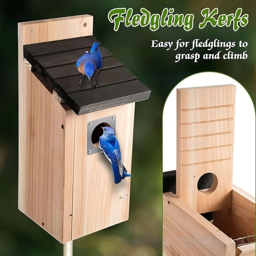 Cedar Bird House for Outside, Bluebird, Wren and Chickadee Nest Box – image 6