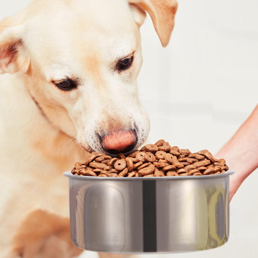 Dog Bowl for Crates, Stainless Steel Hanging Bowl with Clamp, M – image 10
