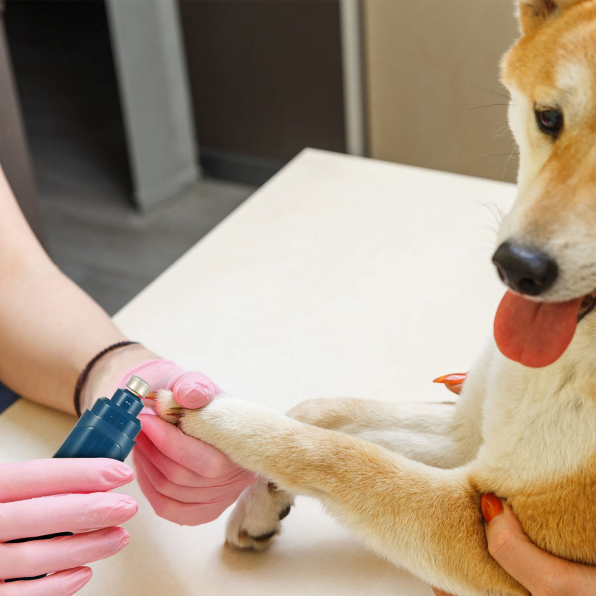 Dog Nail Grinder, 2-Speed Quiet USB Rechargeable Pet Nail Trimmer – image 9