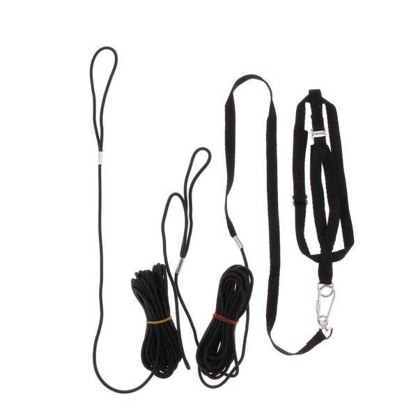 Adjustable Parrot Harness and Leash for Outdoor Flight Training, Black – image 1