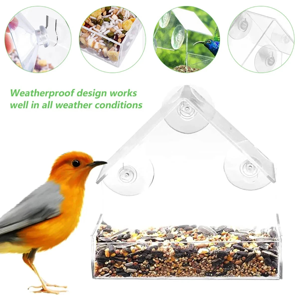 Window Bird Feeder - Clear Acrylic with Suction Cups – image 3