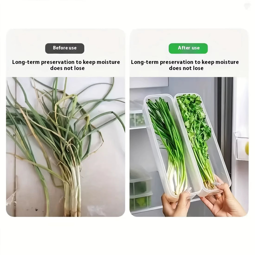 Produce Storage Containers – Long Fridge Boxes for Herbs and Veggies – image 4