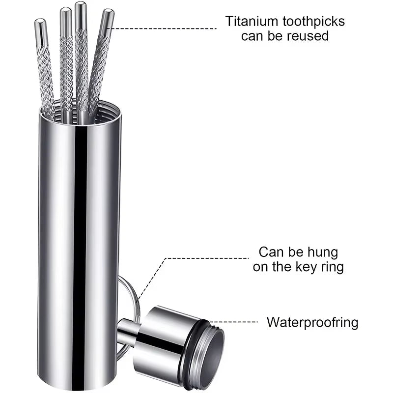 Stainless Steel Reusable Toothpicks Set with Portable Case