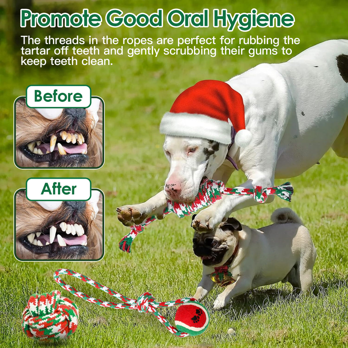 Christmas Dog Rope Toys 5 Pack Chew Toy Set for Puppies – image 8