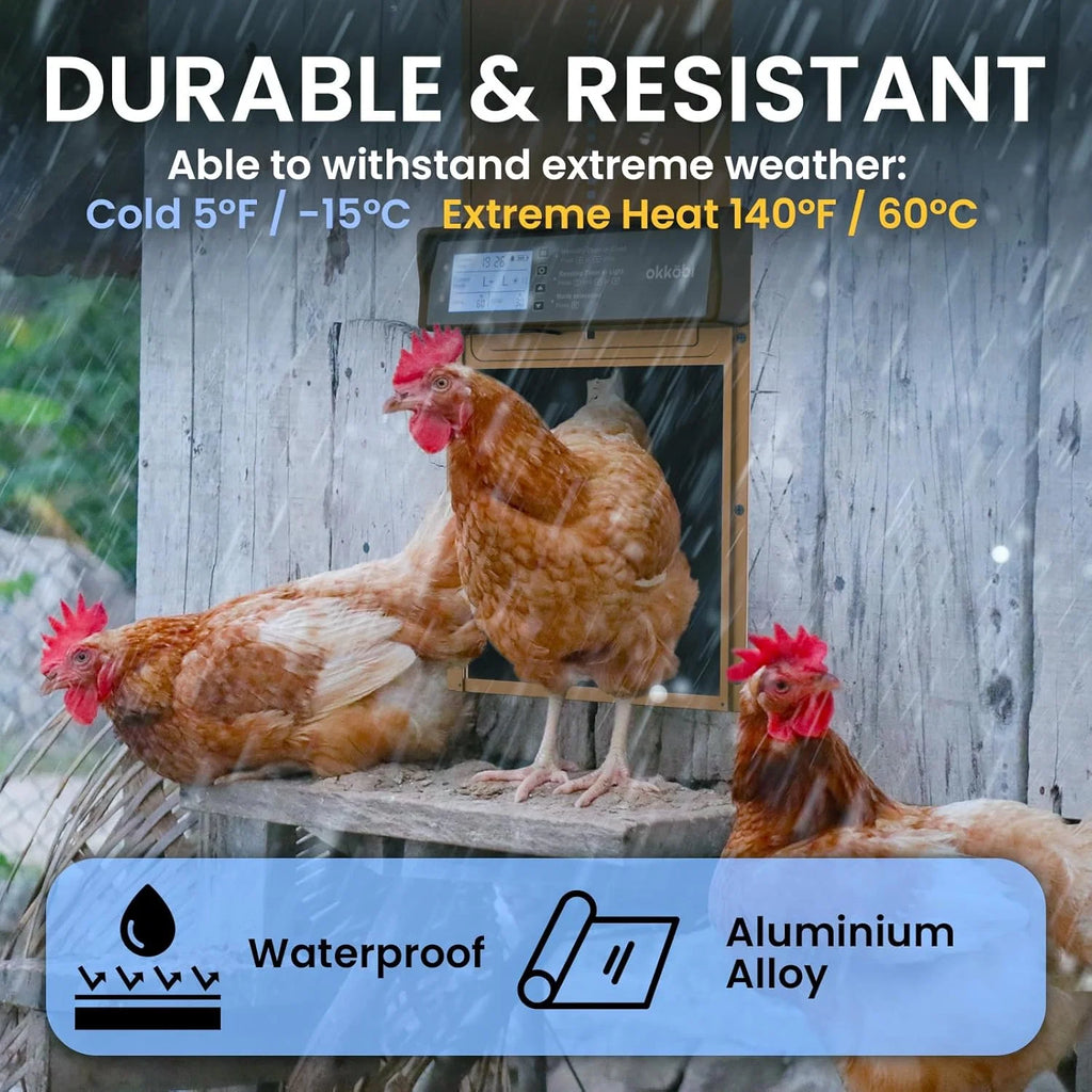 Automatic Chicken Coop Door, Solar Powered with Timer & Light Sensor – image 5