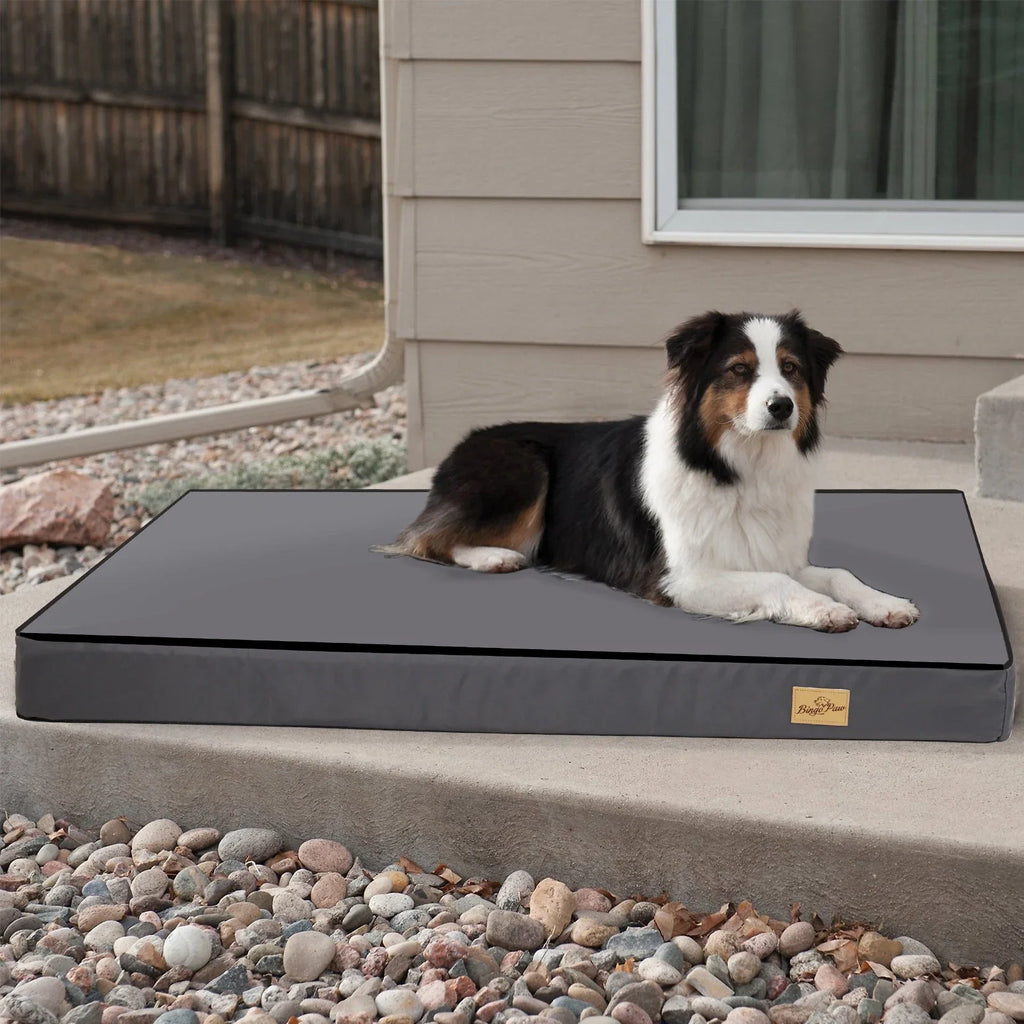 Washable Dog Bed – Foam Crate Bed with Removable Cover – image 5