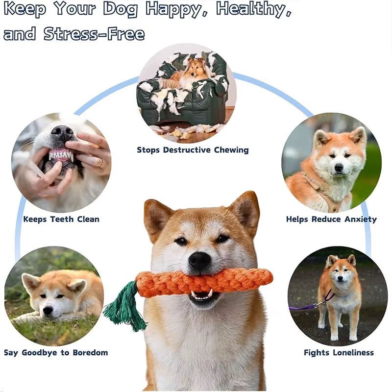 Carrot Braided Rope Chew Toy for Dogs – image 3