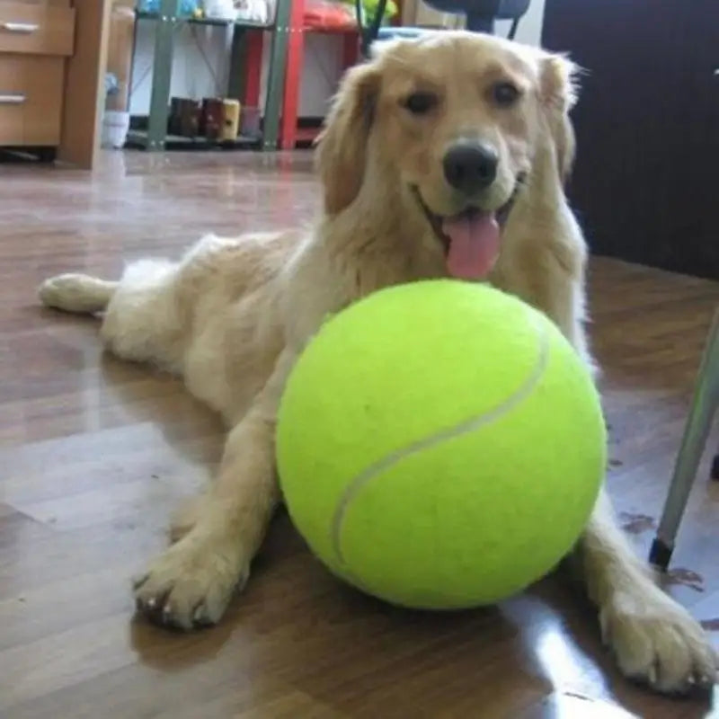 Giant Dog Tennis Ball, Extra Large Inflatable Fetch and Chew Toy – image 2