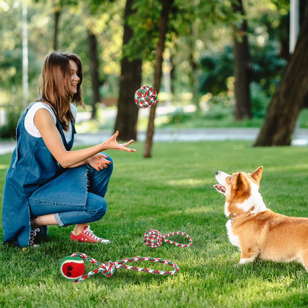 Christmas Dog Rope Toys 5 Pack Chew Toy Set for Puppies – image 9